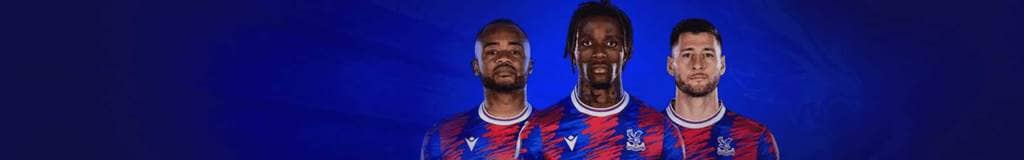 solve any sudoku puzzle
